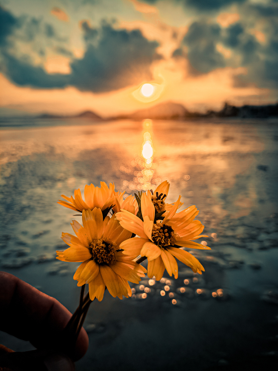 Person Holding Yellow Flowers During Sunset